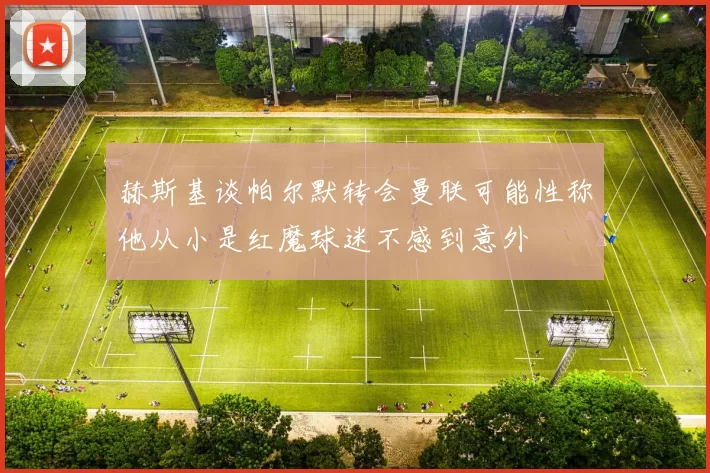 赫斯基谈帕尔默转会曼联可能性称他从小是红魔球迷不感到意外